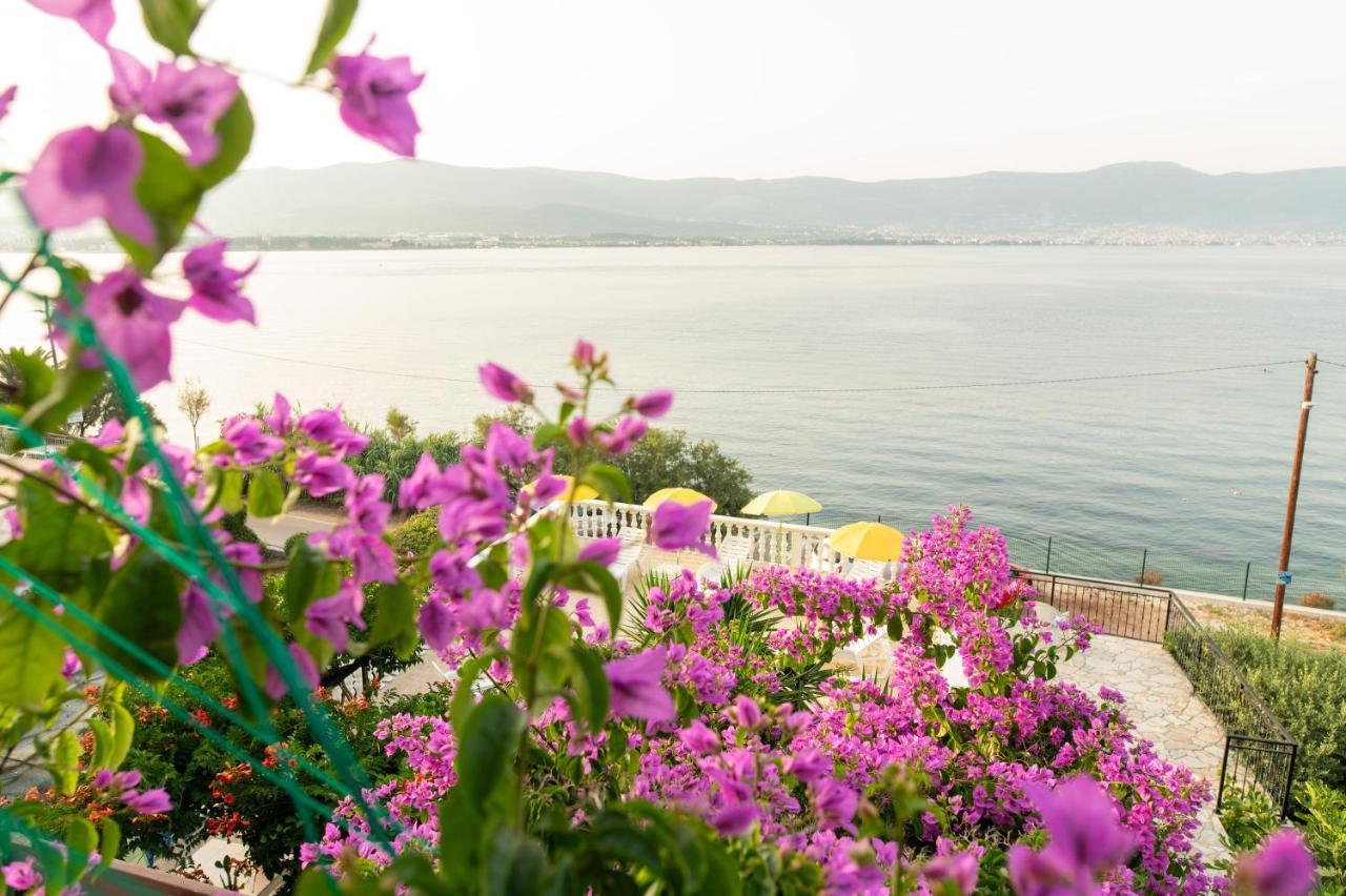 Villa Fjaba - By The Sea - With The Big Terraces & Great Sea View Τρογκίρ Εξωτερικό φωτογραφία